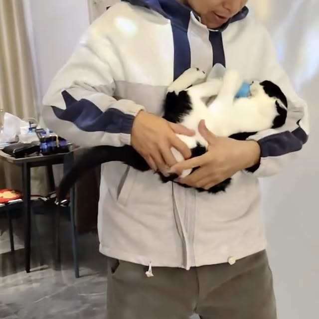  ...urre   'recent posts' 