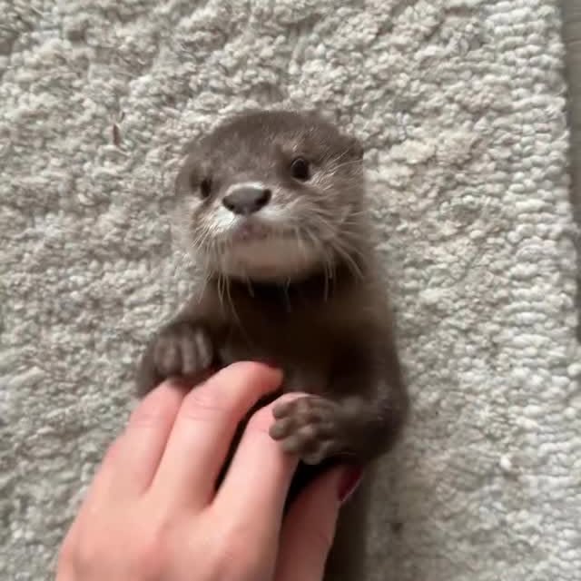  ........unlocked   'recent posts' 