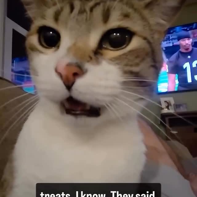  .....attos   'recent posts' 