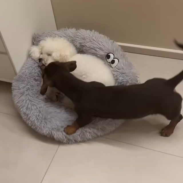  ..........fan.club_   'recent posts' 