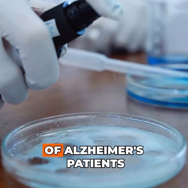  ......versed   'recent posts' 