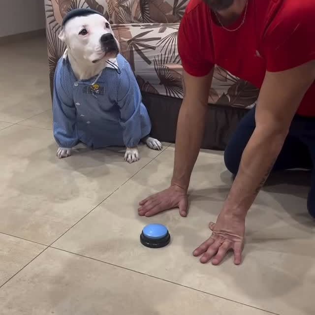  ......estige   'recent posts' 