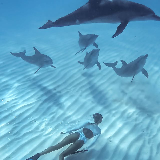  ......uecoast   'recent posts' 