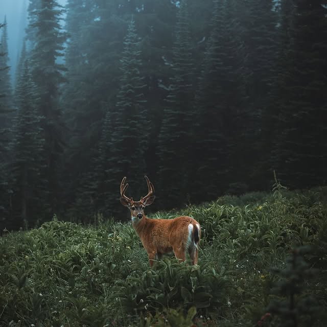  .........dventures   'recent posts' 