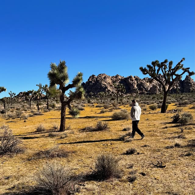  ........cimpeanu   'recent posts' 