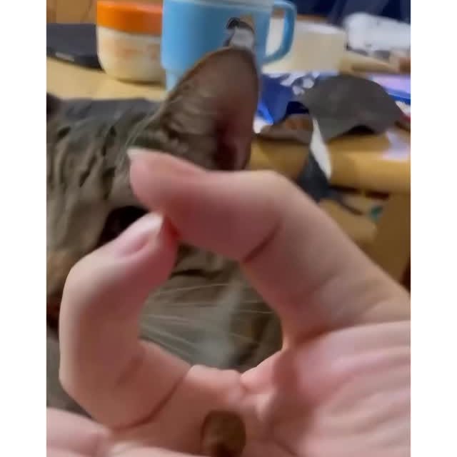  ........eos_fr_us   'recent posts' 