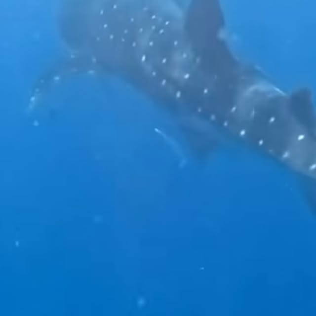  .....lorida   'recent posts' 