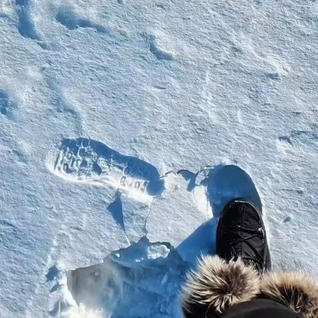  .......zenworld   'recent posts' 