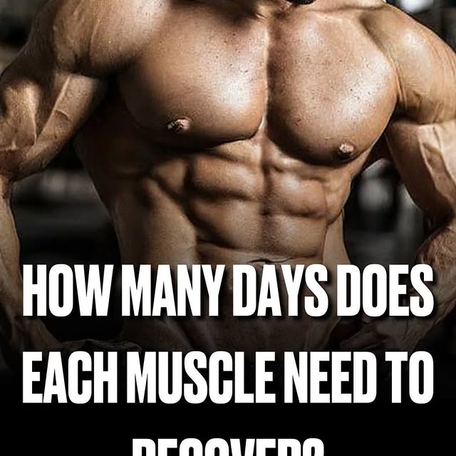  ......thenics   'recent posts' 