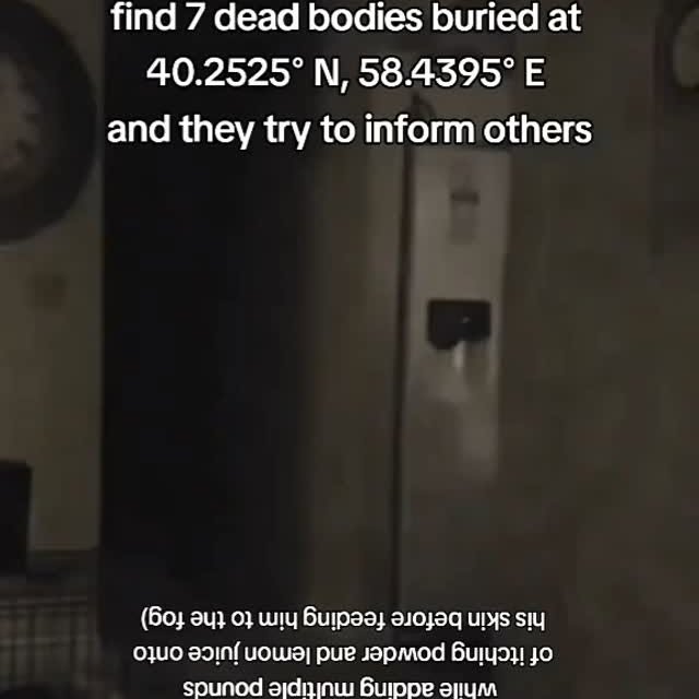  .......msvideos   'recent posts' 