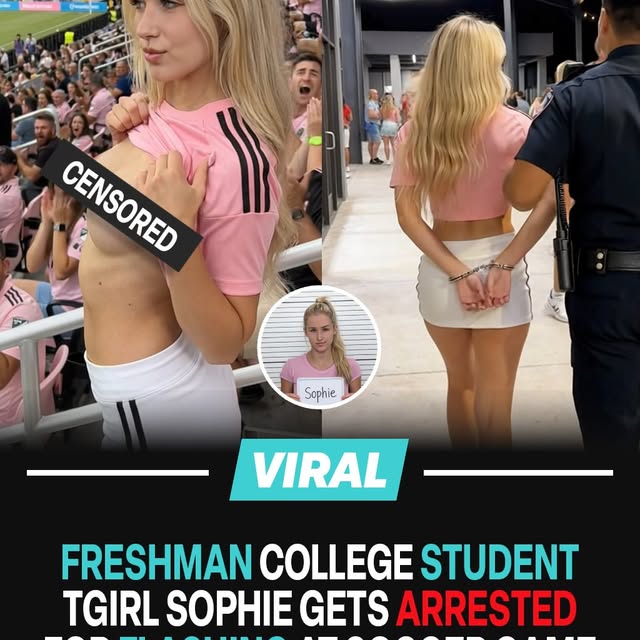  ......fehood   'recent posts' 