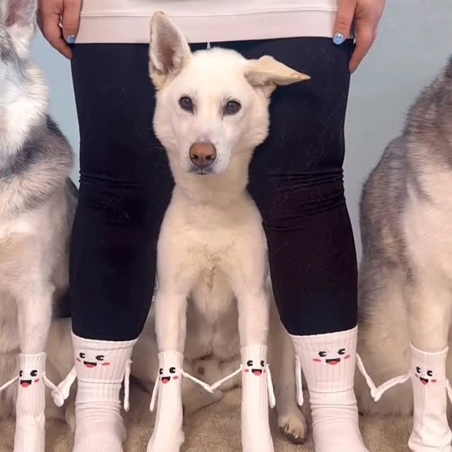  .....eteers   'recent posts' 