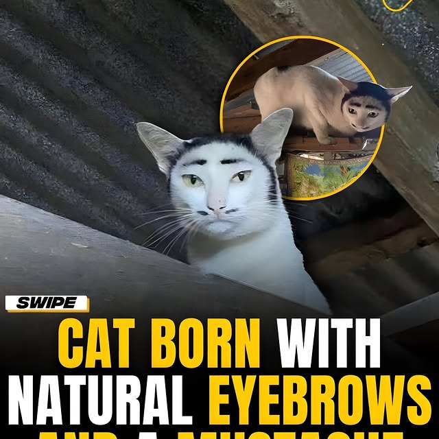  .......onfacts   'recent posts' 