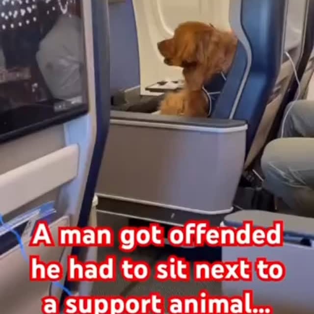  ........rshaming   'recent posts' 