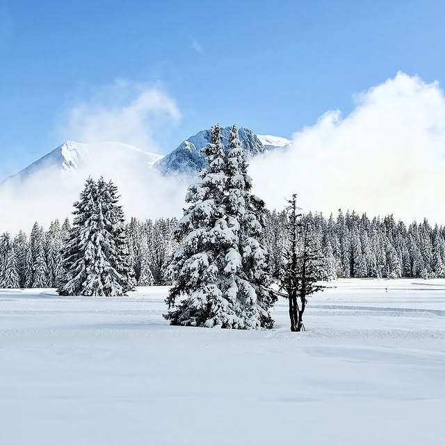  .........rancaises   'recent posts' 