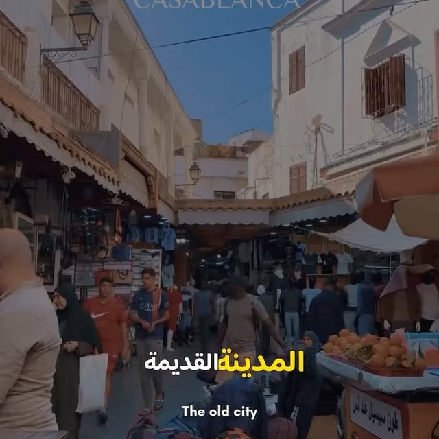  .......moroccan   'recent posts' 