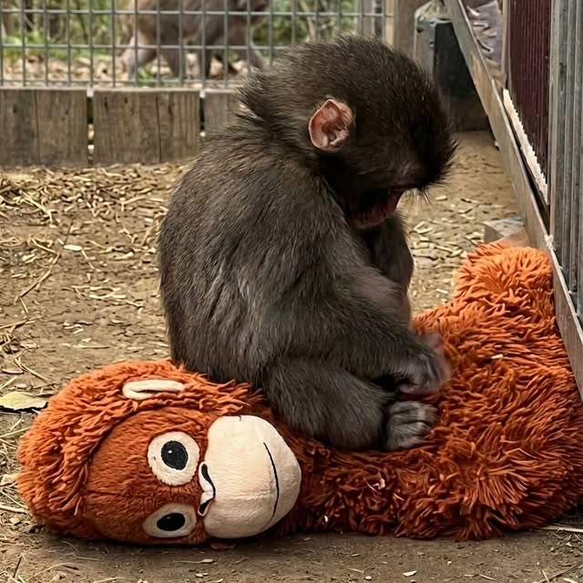  ........malsgram   'recent posts' 