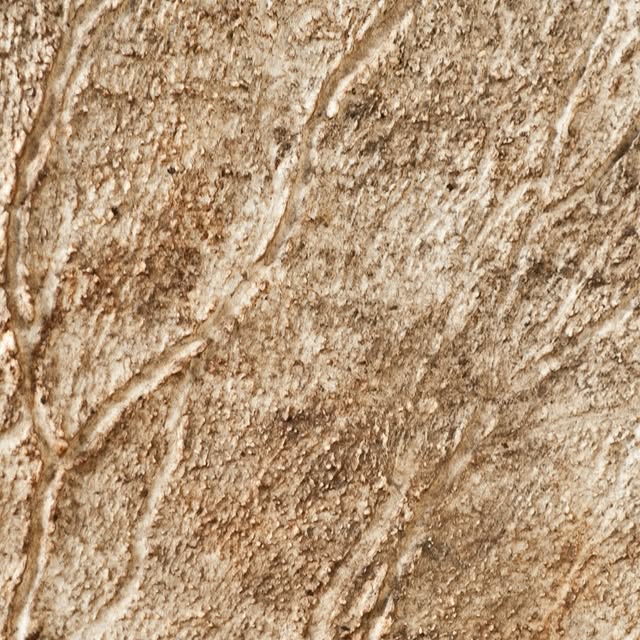  .....nnmon   'recent posts' 