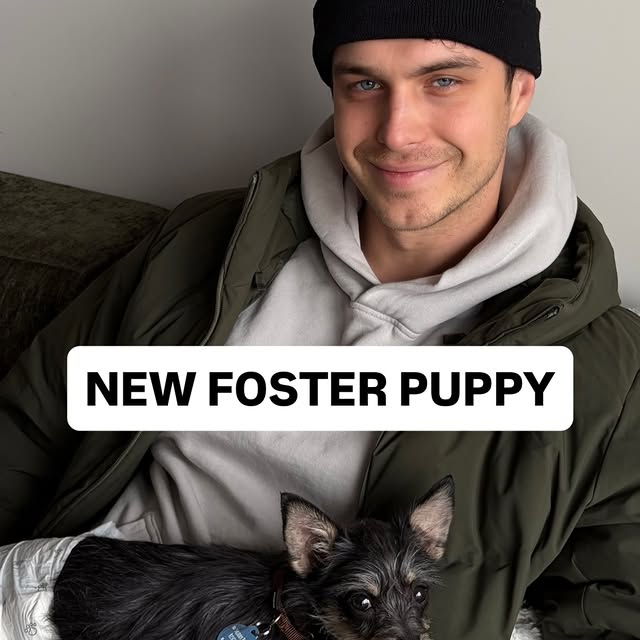  ........adkinson   'recent posts' 