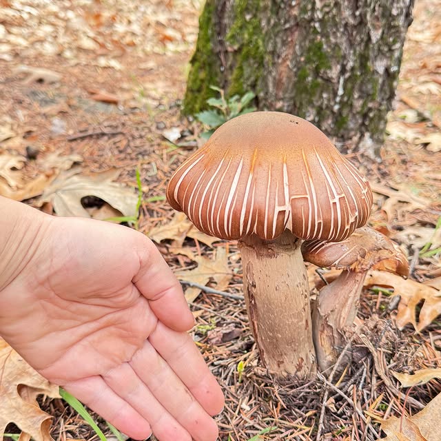  ......_diana   'recent posts' 