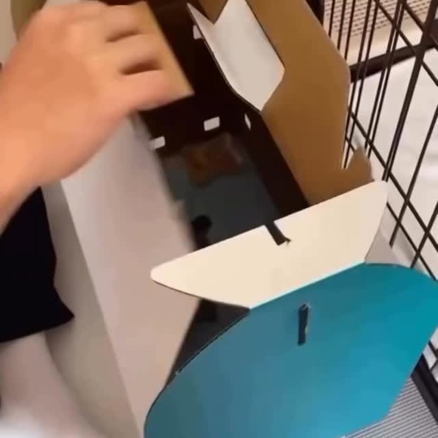  .......uapuppy   'recent posts' 