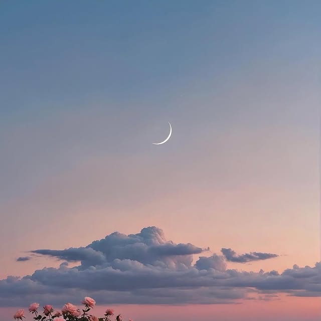  .....ervor   'recent posts' 