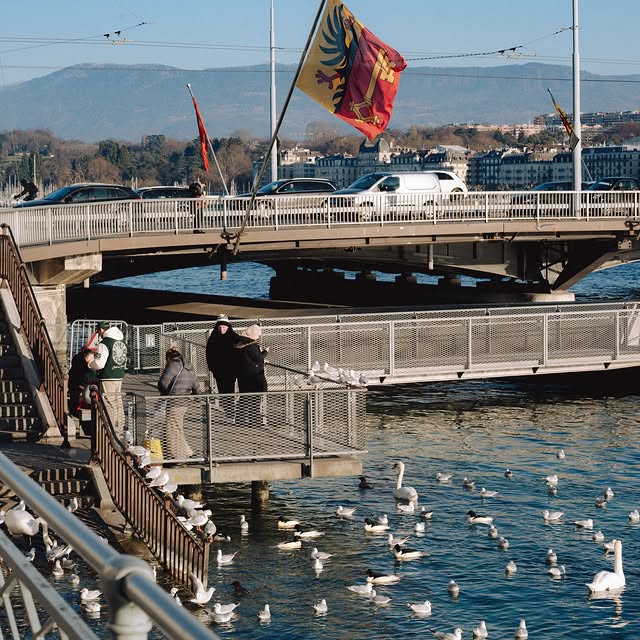  .......amshots   'recent posts' 