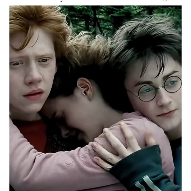  ........slibrary   'recent posts' 