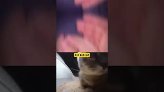  ......ricals  'recent videos' 