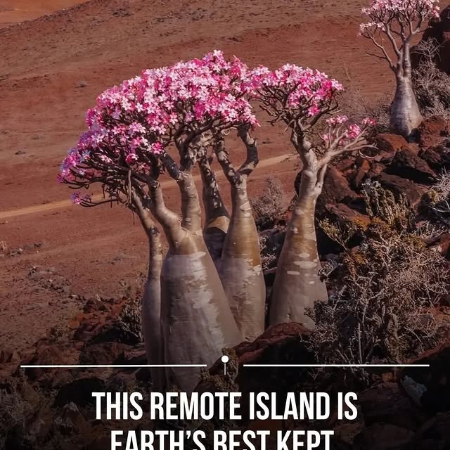  ......fervor   'recent posts' 