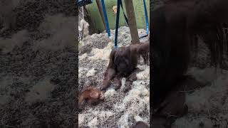  .....rthTv  'recent videos' 