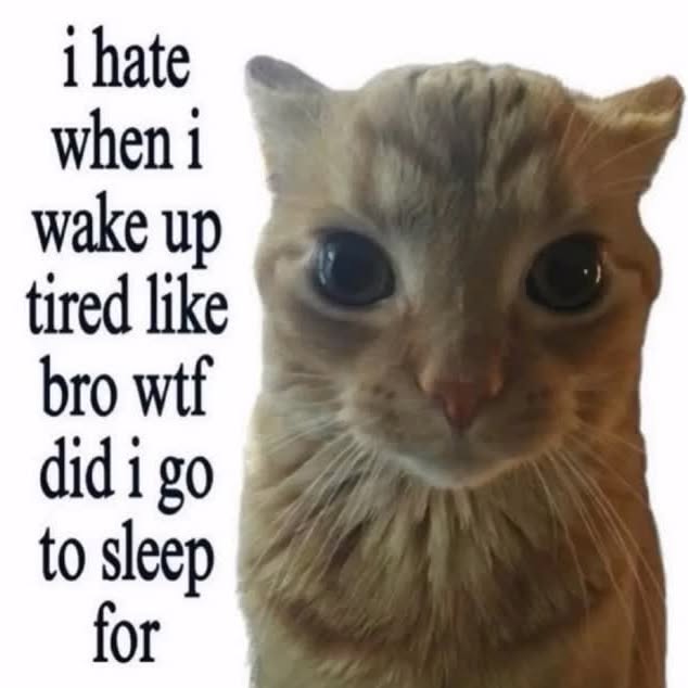  .....attos   'recent posts' 