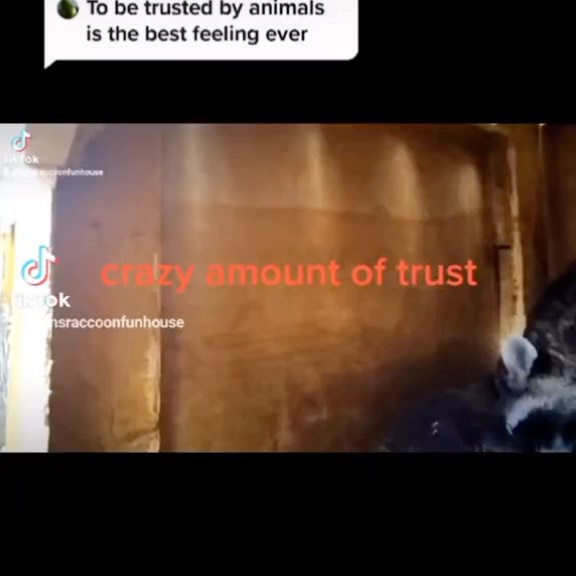  ....onnei   'recent posts' 