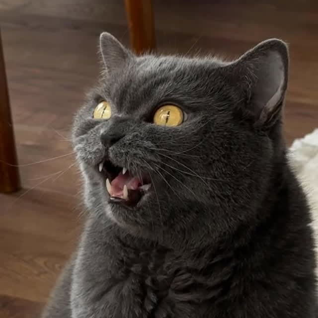  ......kekkek   'recent posts' 