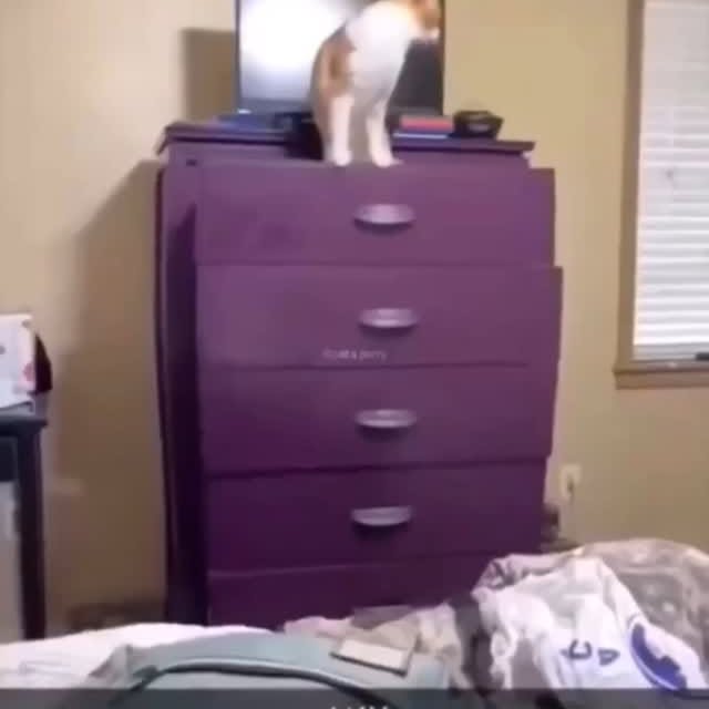  ......ingcat   'recent posts' 