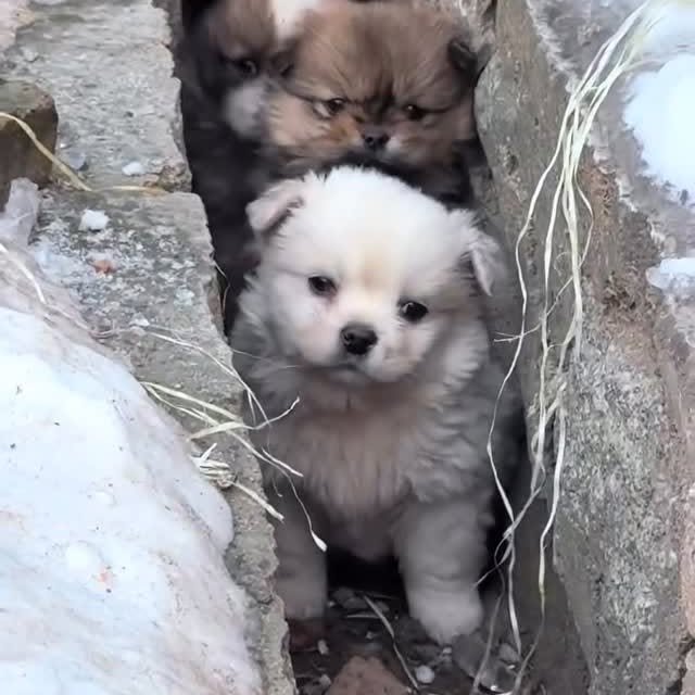  ......s.club   'recent posts' 