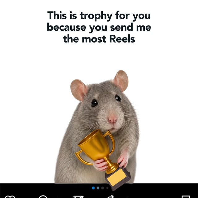  .......dstories   'recent posts' 