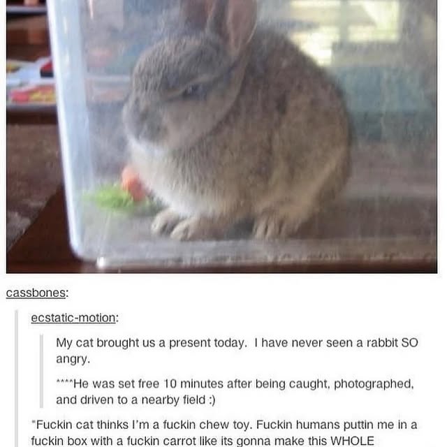  ......rldpage   'recent posts' 