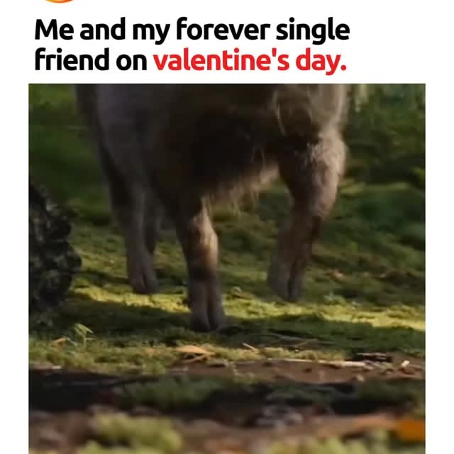  .......tethingz   'recent posts' 