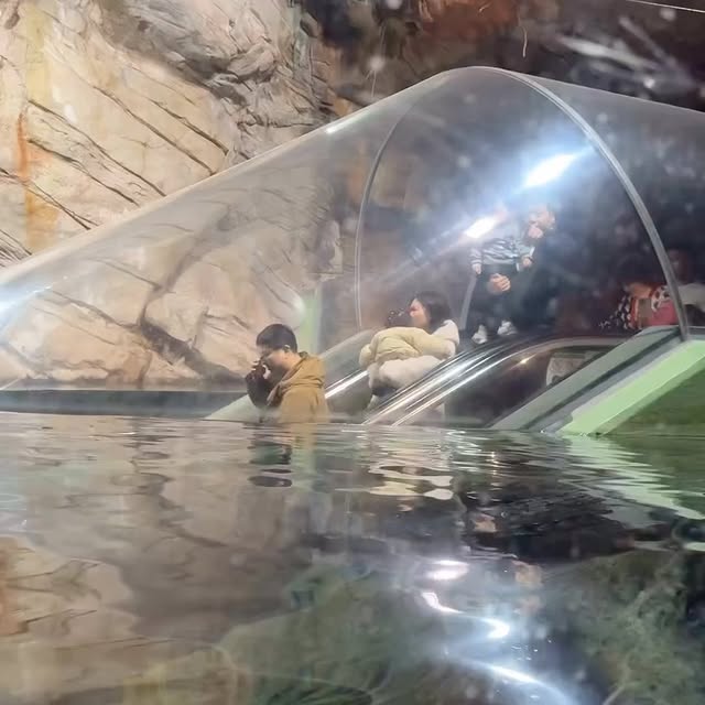  ......naturee   'recent posts' 