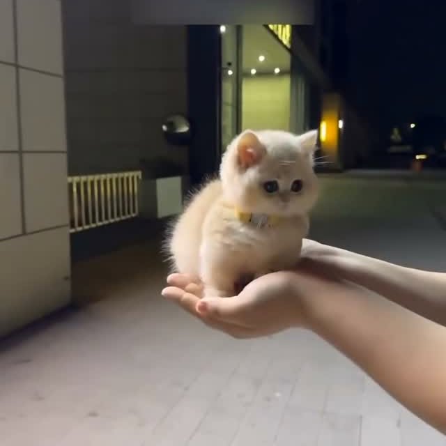  ......f_day_   'recent posts' 