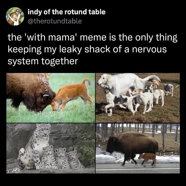  ......rldpage   'recent posts' 