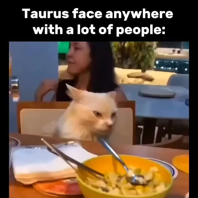  .....sology   'recent posts' 