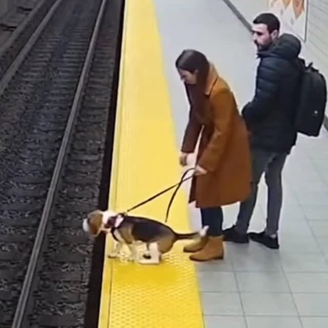  .....nly.ai   'recent posts' 