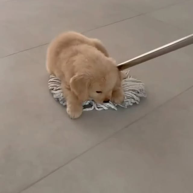  ........rcuteness   'recent posts' 