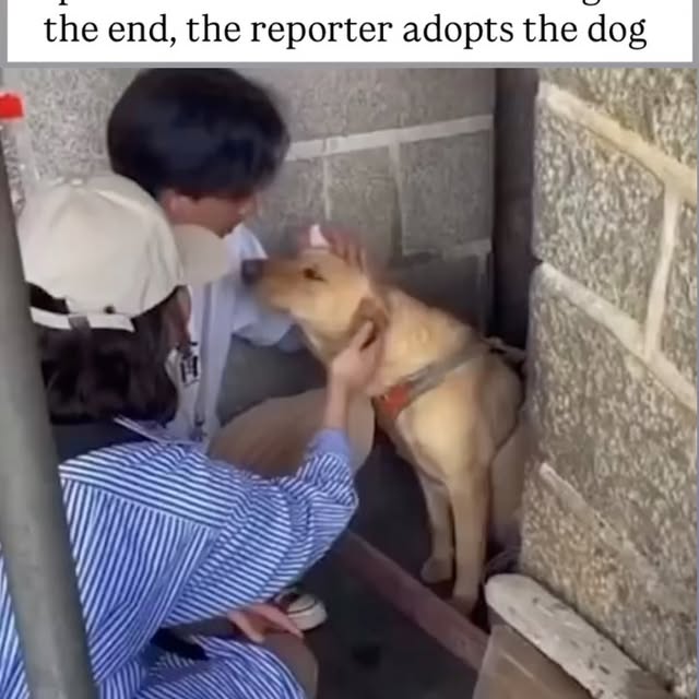  ....s.acc   'recent posts' 