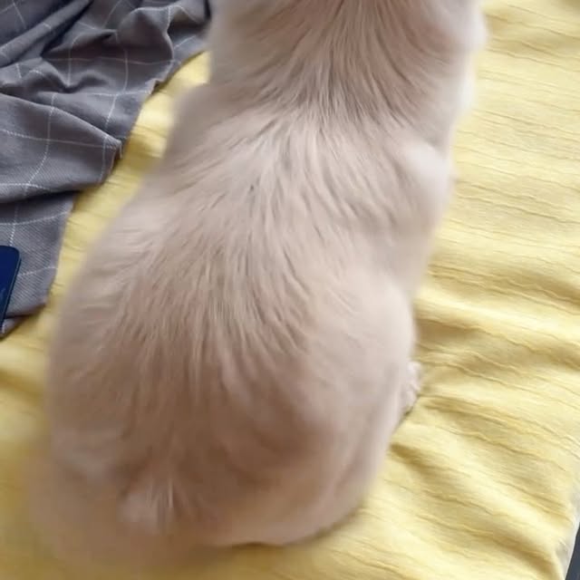  ......s.club   'recent posts' 