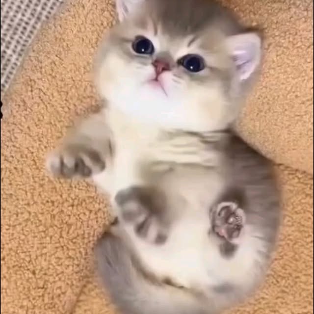  .......uteness1   'recent posts' 