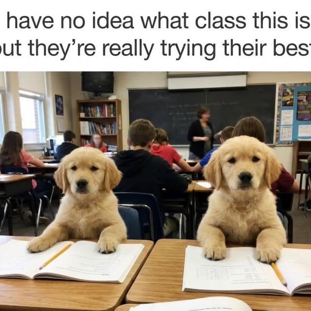  ..ps   'recent posts' 