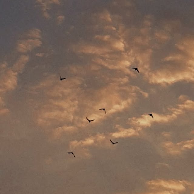  ......labarca   'recent posts' 